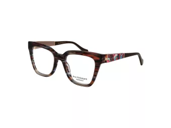 Ana Hickmann Brillen AH 6494 C03