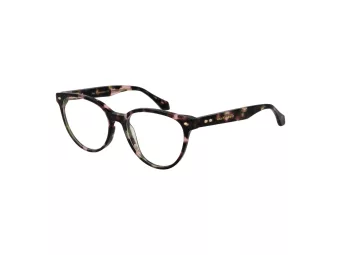 Ana Hickmann Brillen AH 6509 G21
