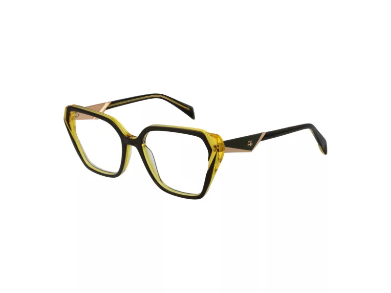 Ana Hickmann Brillen AH 6538 H01