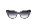 Ana Hickmann Zonnebril AH 9419 T01