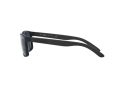 Arnette Slickster Zonnebril AN 4185 218887
