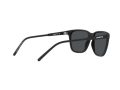 Arnette Cortex Zonnebril AN 4291 275887