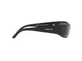 Arnette Catfish Zonnebril AN 4302 275881