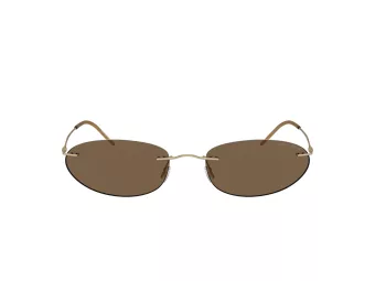 Giorgio Armani Zonnebril AR 1508M 300273