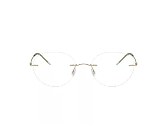 Giorgio Armani Brillen AR 5147 3002