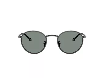 Giorgio Armani Zonnebril AR 6163J 300111