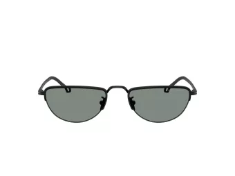 Giorgio Armani Zonnebril AR 6166J 300111