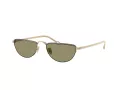 Giorgio Armani Zonnebril AR 6166J 30022A