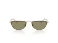 Giorgio Armani Zonnebril AR 6166J 30022A