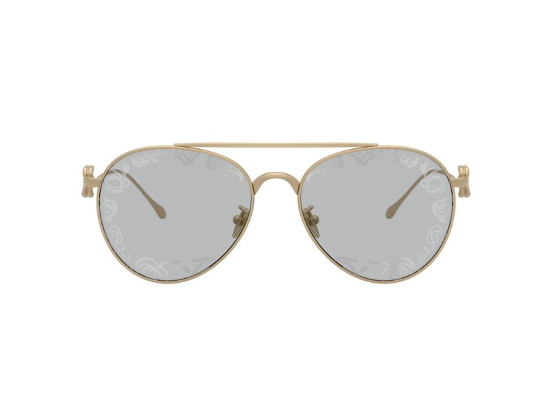 Giorgio Armani Zonnebril AR 6167 3002AL