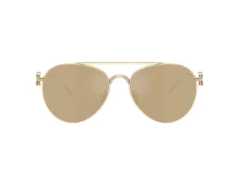 Giorgio Armani Zonnebril AR 6167 30130W