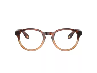 Giorgio Armani Brillen AR 7248 6034