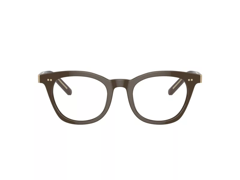 Giorgio Armani Brillen AR 7251 6040