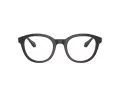 Giorgio Armani Brillen AR 7256 6088