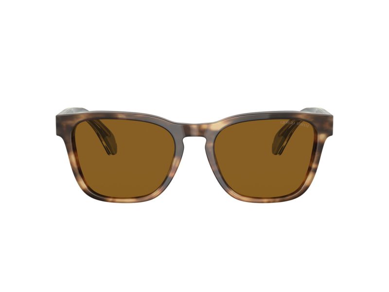 Giorgio Armani Zonnebril AR 8155 594233