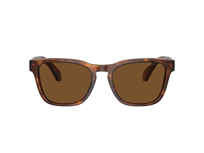 Giorgio Armani Zonnebril AR 8155 598857