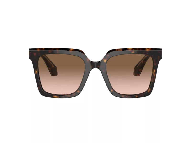 Giorgio Armani Zonnebril AR 8156 587951