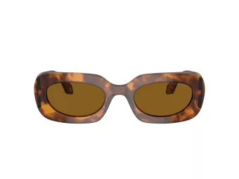 Giorgio Armani Zonnebril AR 8182 598833