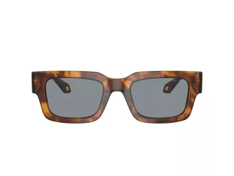 Giorgio Armani Zonnebril AR 8184U 598802