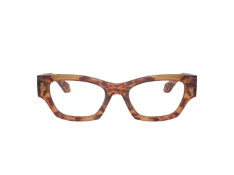 Giorgio Armani Zonnebril AR 8185U 59781W