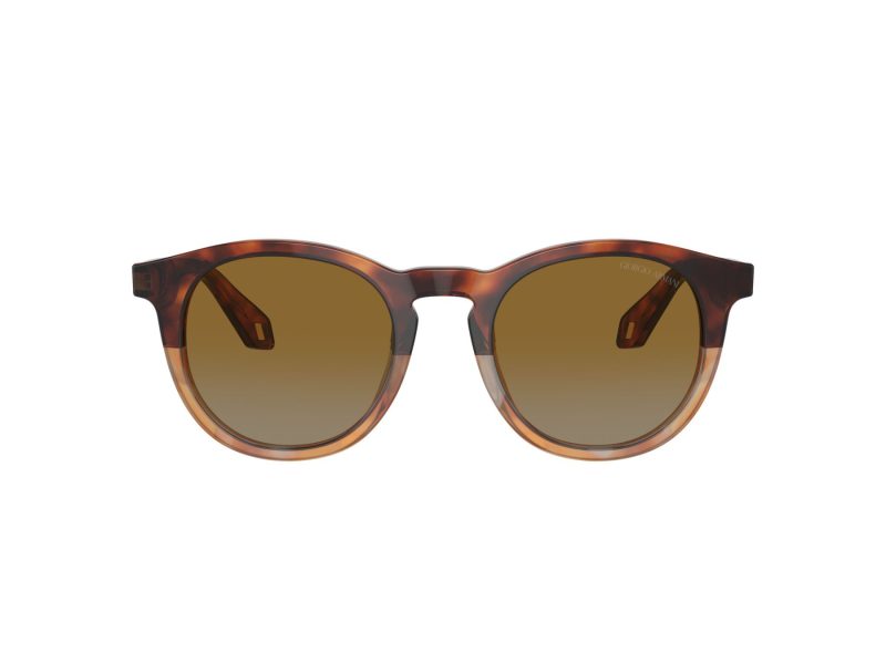 Giorgio Armani Zonnebril AR 8192 6034B2