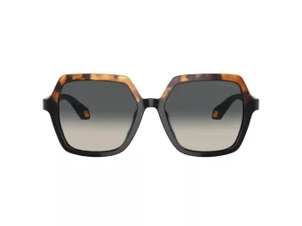 Giorgio Armani Zonnebril AR 8193U 587519