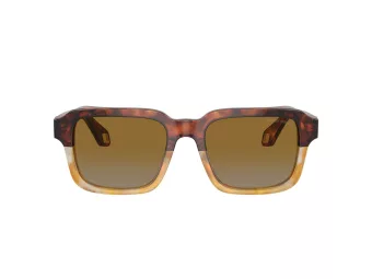 Giorgio Armani Zonnebril AR 8194U 6034B2