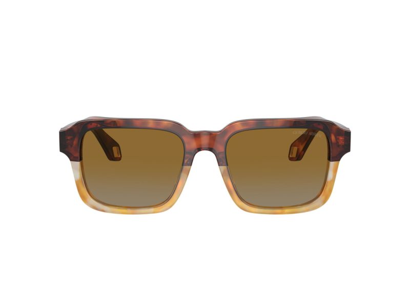 Giorgio Armani Zonnebril AR 8194U 6034B2