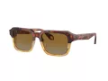 Giorgio Armani Zonnebril AR 8194U 6034B2