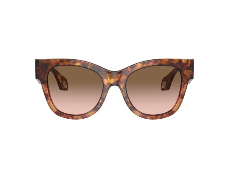 Giorgio Armani Zonnebril AR 8195U 603351