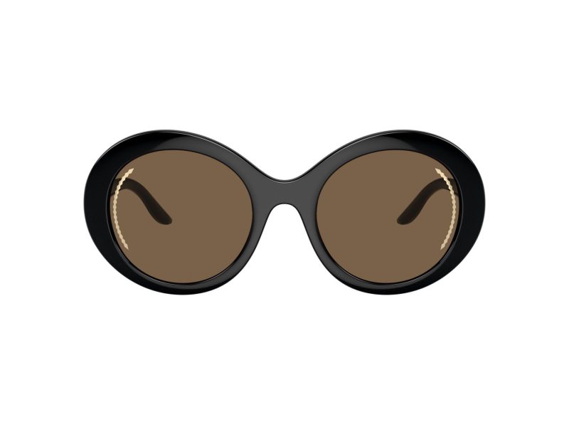 Giorgio Armani Zonnebril AR 8204 500173