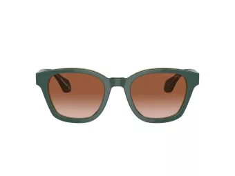 Giorgio Armani Zonnebril AR 8207 608613