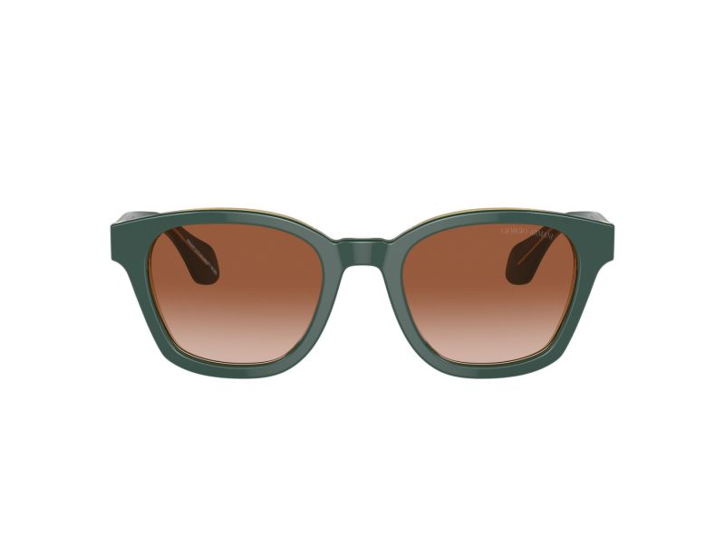 Giorgio Armani Zonnebril AR 8207 608613