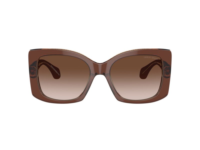 Giorgio Armani Zonnebril AR 8208U 609013