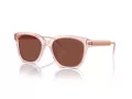 Giorgio Armani Zonnebril AR 8210U 6073C5