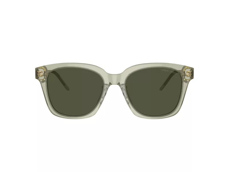 Giorgio Armani Zonnebril AR 8210U 608331