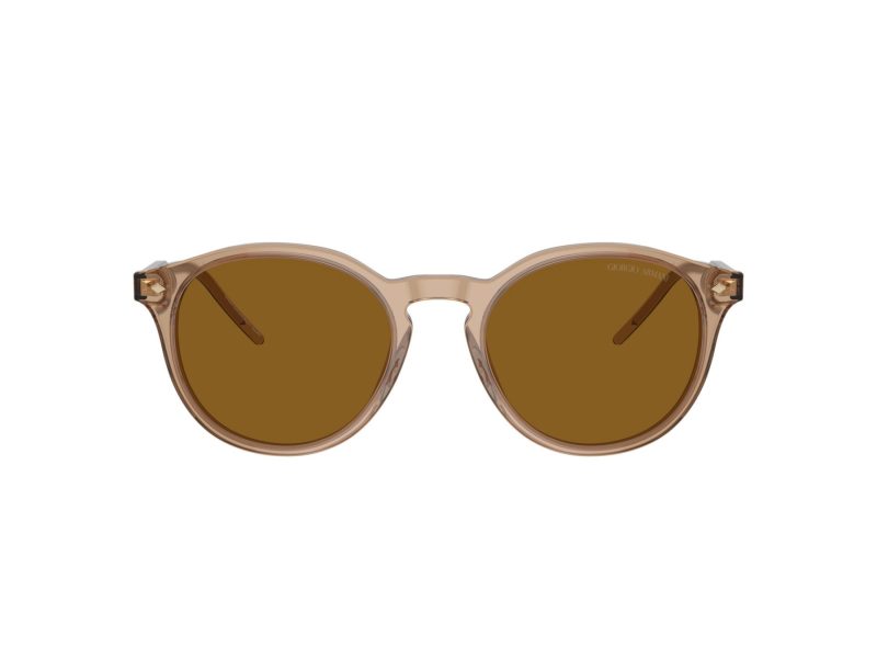 Giorgio Armani Zonnebril AR 8211 607233