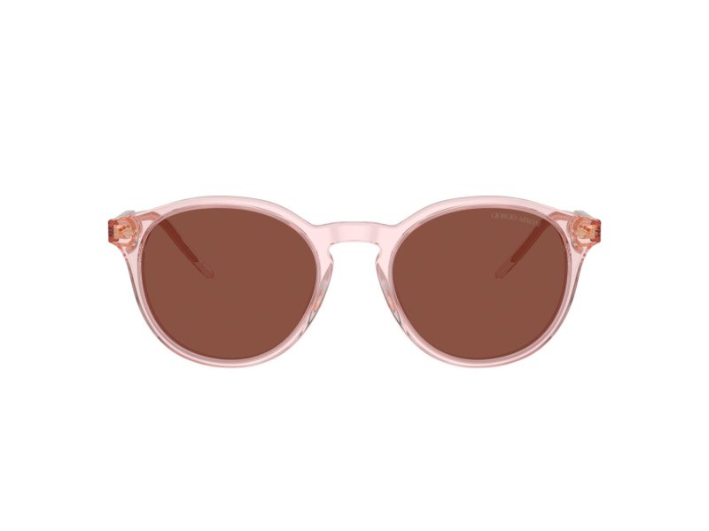 Giorgio Armani Zonnebril AR 8211 6073C5