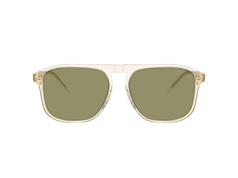Giorgio Armani Zonnebril AR 8212 607714
