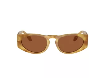 Giorgio Armani Zonnebril AR 8216 597973