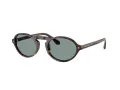Giorgio Armani Zonnebril AR 8219U 587956