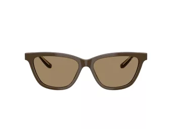 Giorgio Armani Zonnebril AR 8221 595753