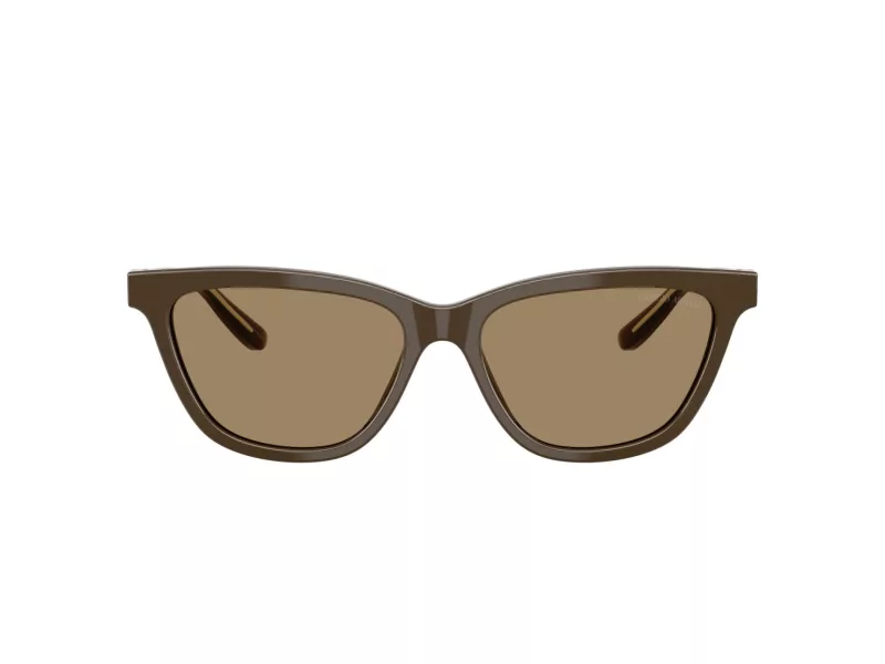 Giorgio Armani Zonnebril AR 8221 595753