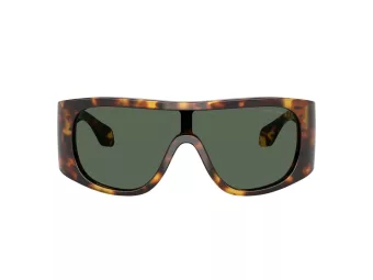 Giorgio Armani Zonnebril AR 8222U 509271