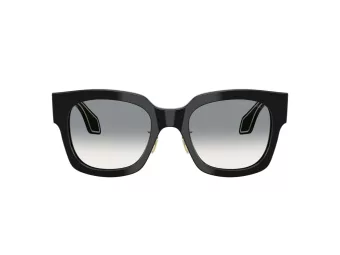 Giorgio Armani Zonnebril AR 8223 500111