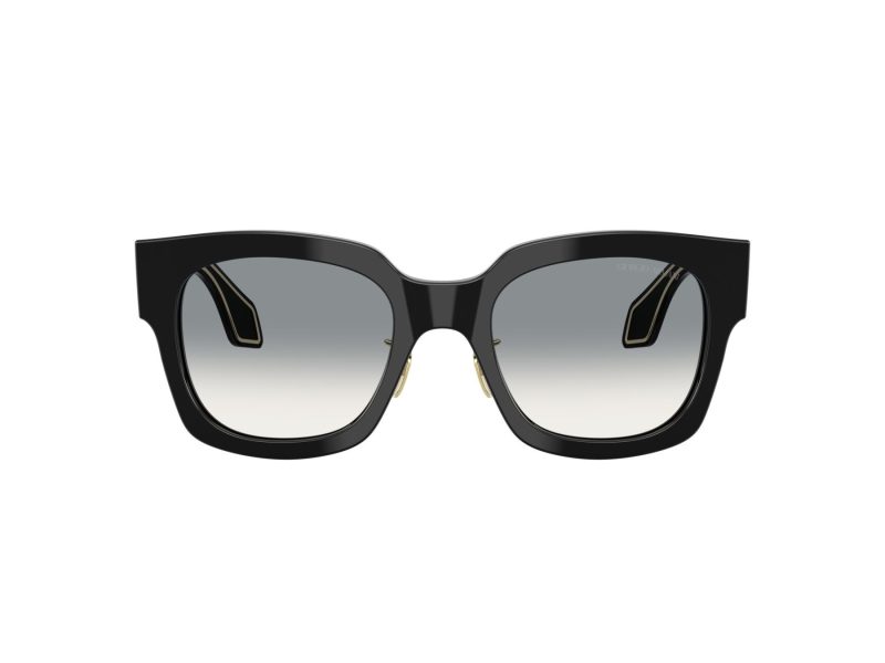 Giorgio Armani Zonnebril AR 8223 500111