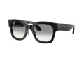 Giorgio Armani Zonnebril AR 8223 500111