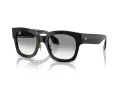 Giorgio Armani Zonnebril AR 8223 500111