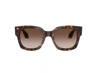 Giorgio Armani Zonnebril AR 8223 502613