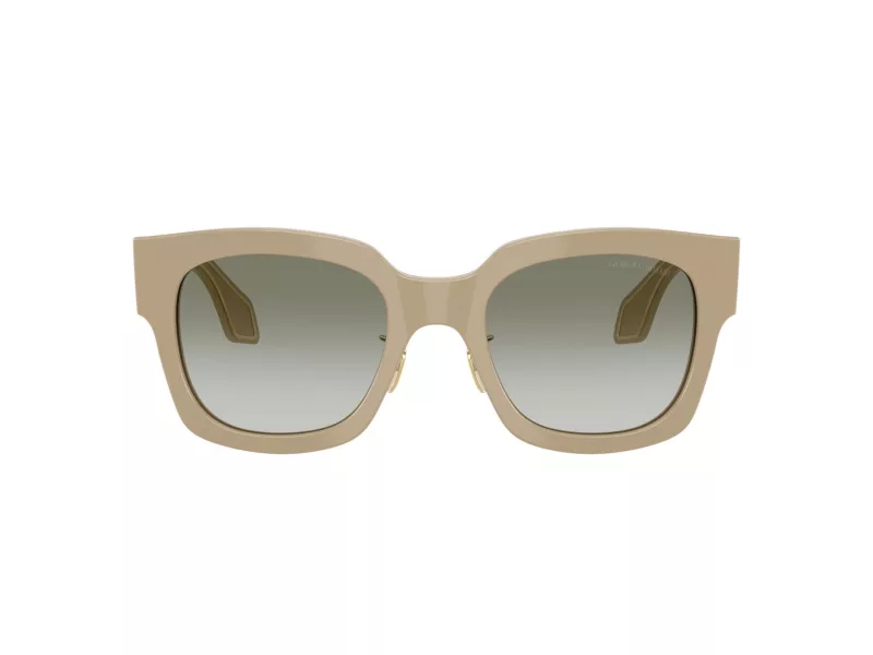 Giorgio Armani Zonnebril AR 8223 61618E